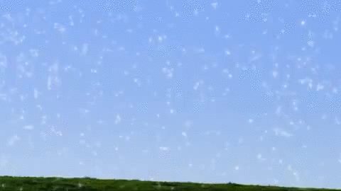 Пример визуального снега